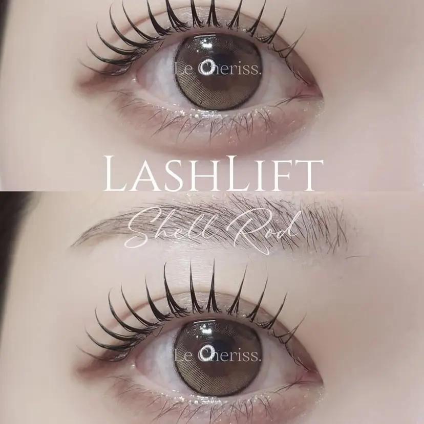 吉岡 璃紗の掲載