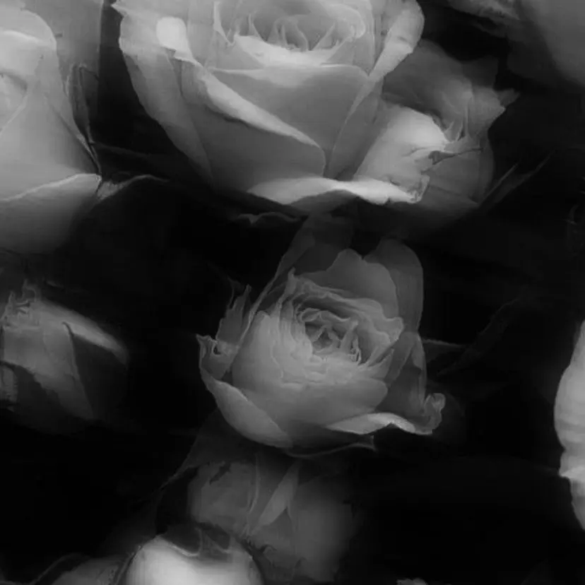 小野 澪花の掲載