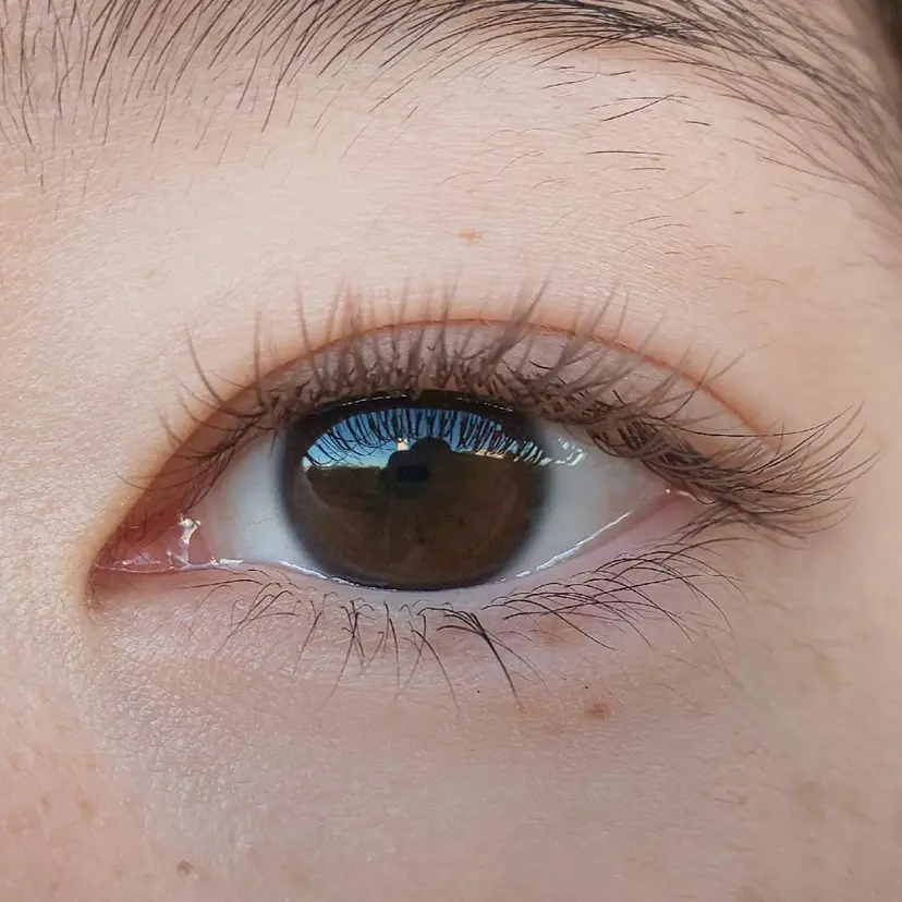 eyelash .の掲載