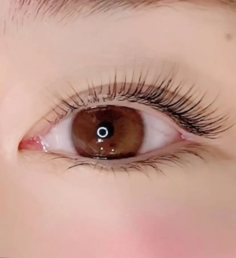 11/4open👏 Refoile🎉の掲載