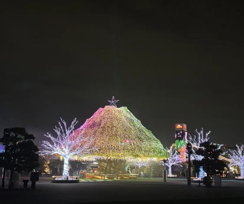 Sol フジイの掲載