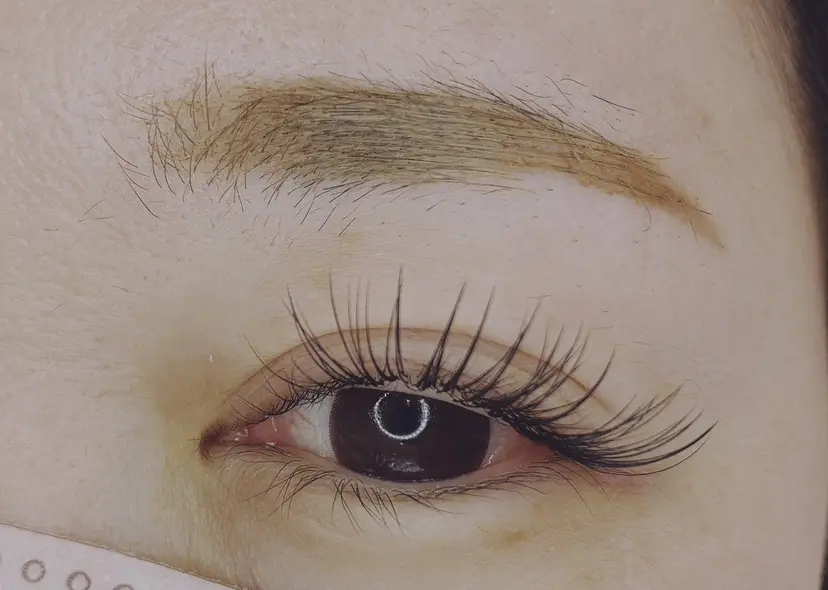 阿部 ライサの掲載