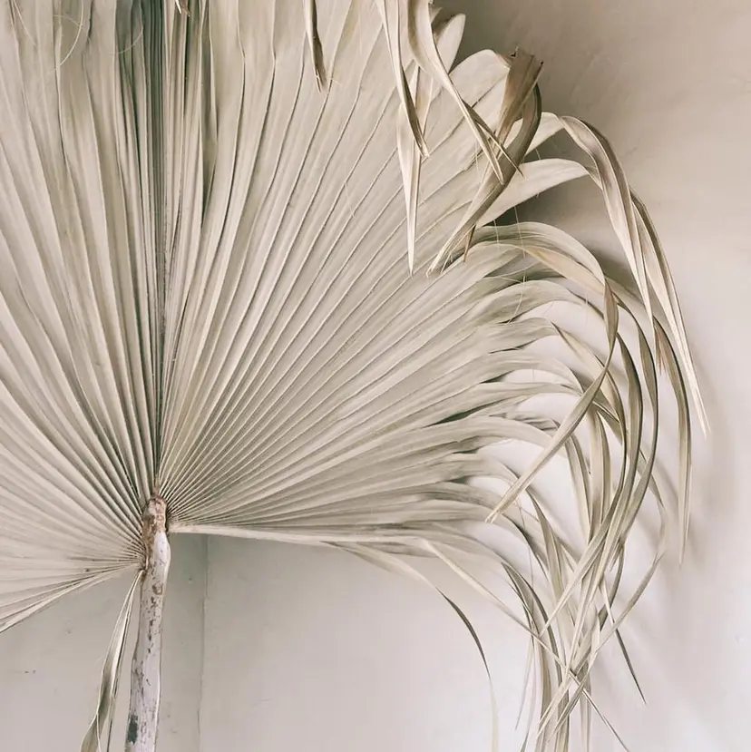 アイデザイナー Key（ケイ）の掲載