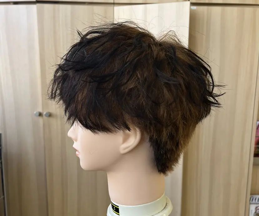 佐藤 李龍の掲載