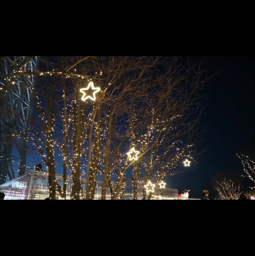 🤎💇🏻‍♀️✨ /万尋　マヒロの掲載