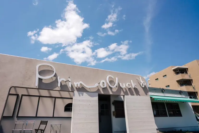 井川 彩音の掲載