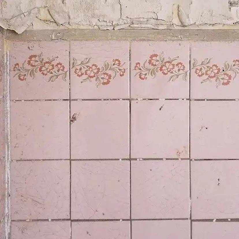 シールエクステ 🐁ONOの掲載