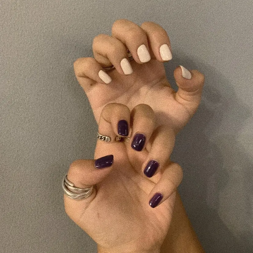 山本 理紗子の掲載