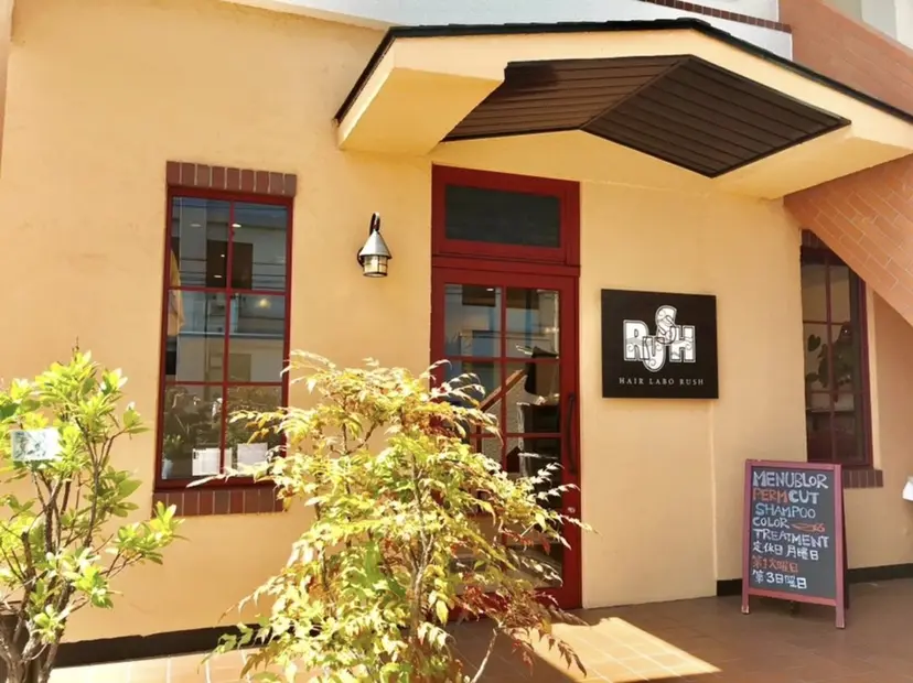 安松 莉那の掲載