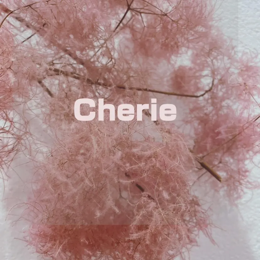 シェリー ウメダテンの掲載