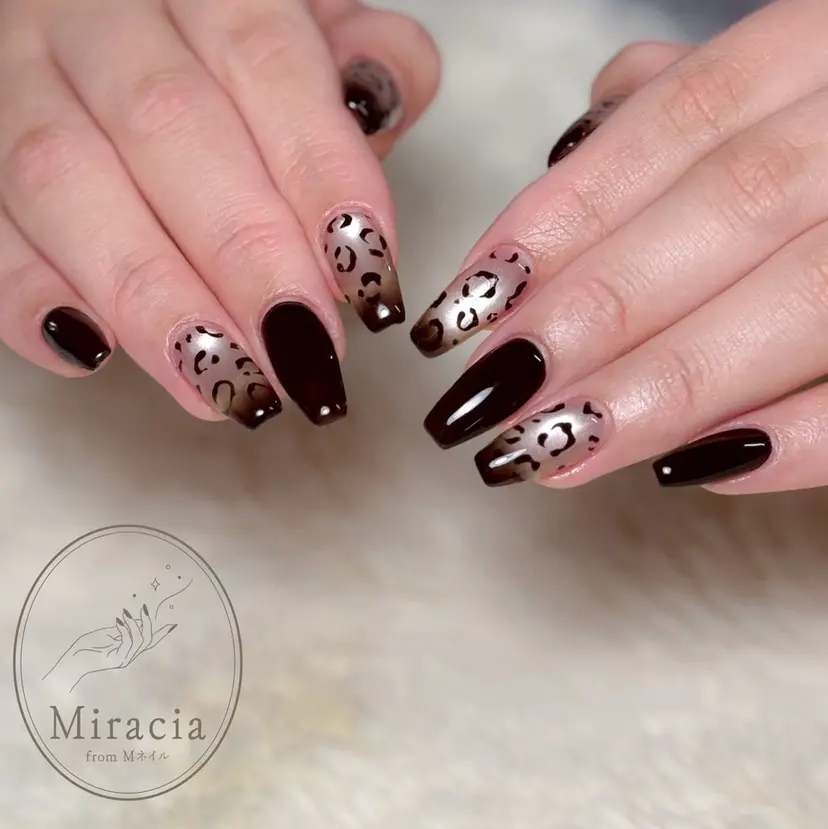 Miracia 【TORINO】の掲載