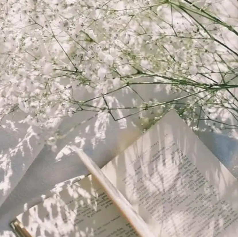 ボブ🪽 ばばゆうきの掲載