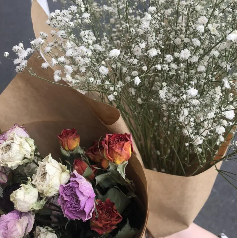 山崎 和花の掲載