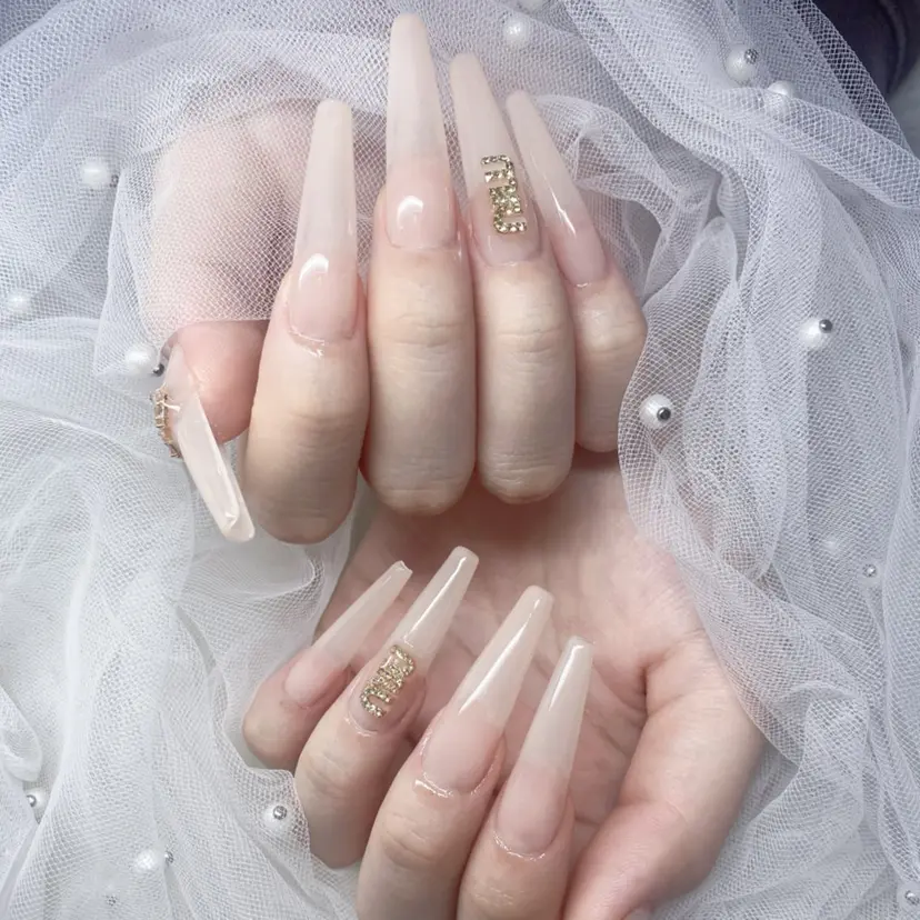 Yudia tamakiの掲載