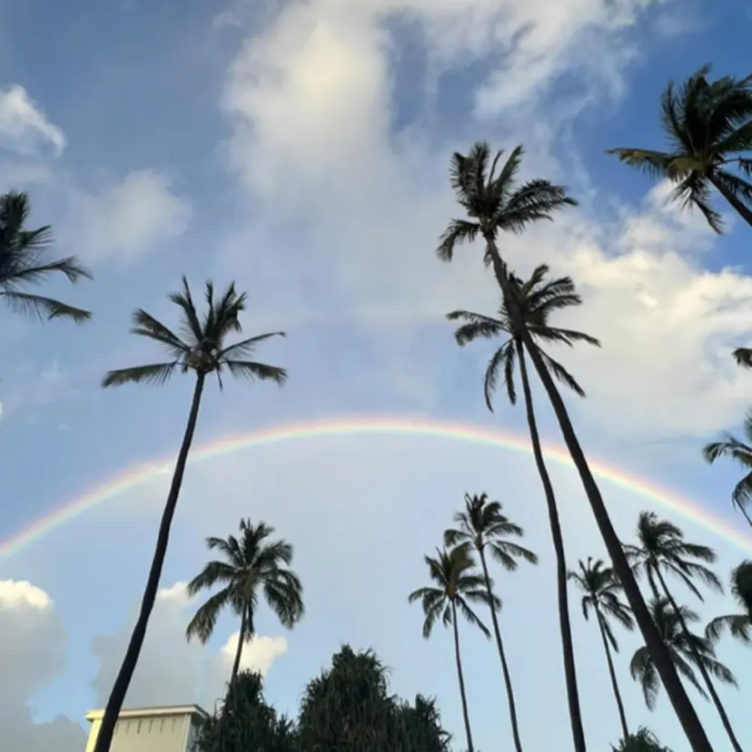 坂本 麻未/の掲載