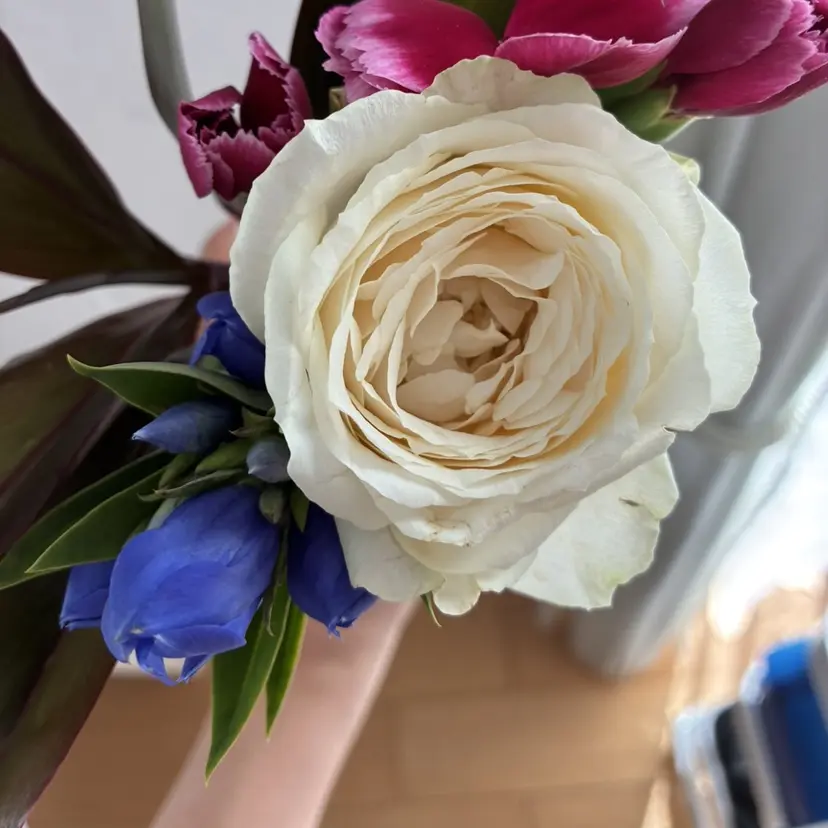 nail_salon Tulipの掲載