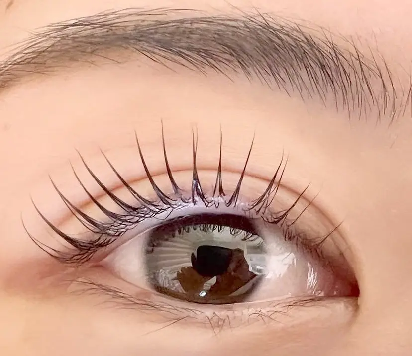 鈴木 彩加の掲載