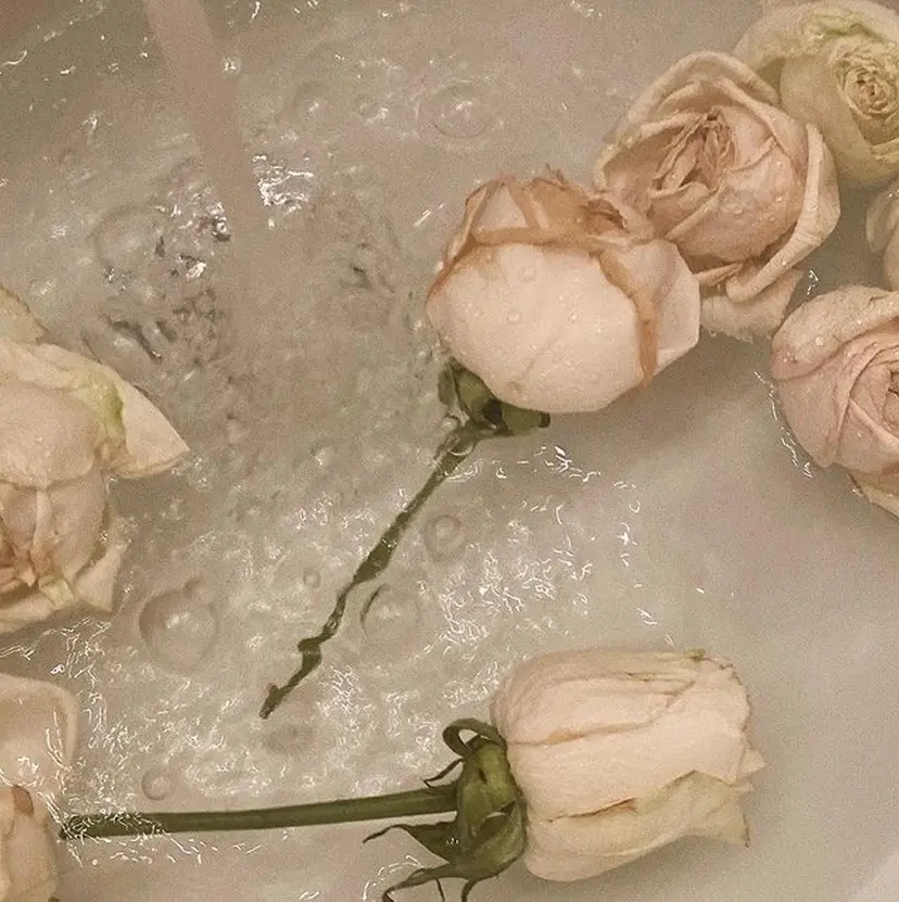 木村 あかりの掲載