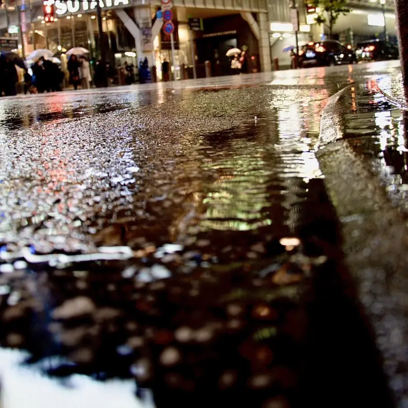 福留 叶太の掲載