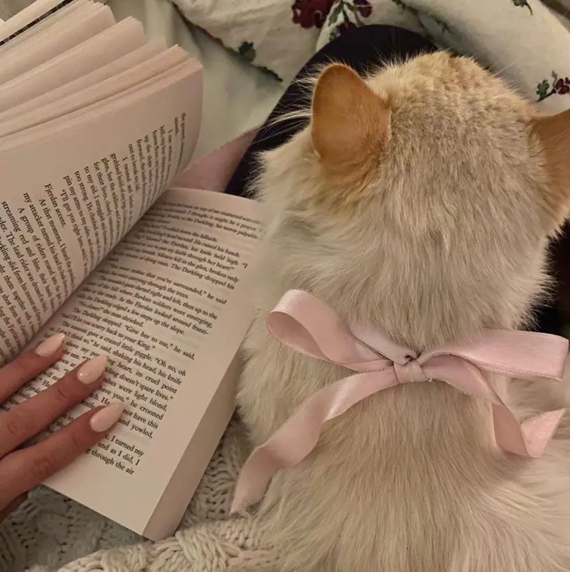 丸川 美咲の掲載