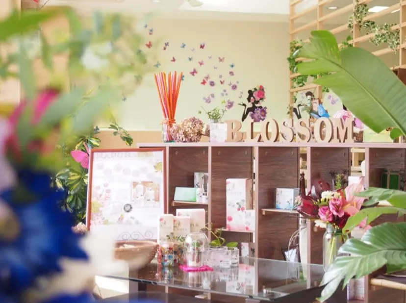 松下 輝璃の掲載