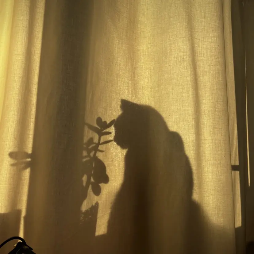 金沢市/美容師/ 岡島由希美の掲載