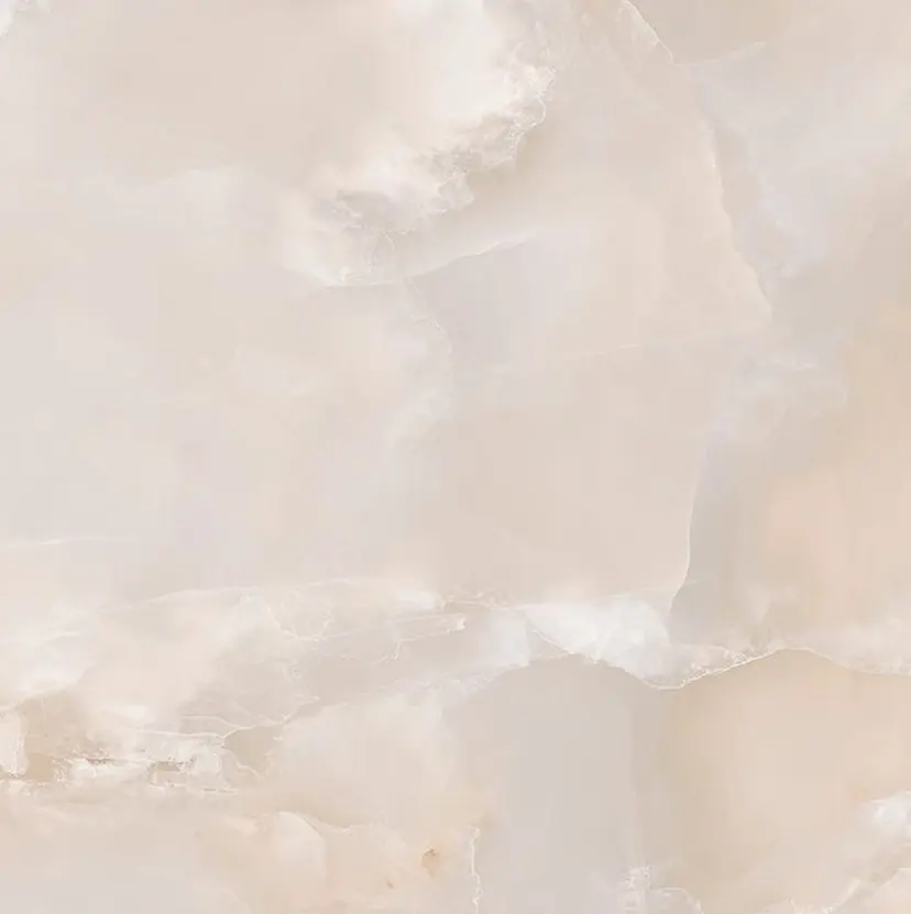  ︎︎  ︎︎の掲載