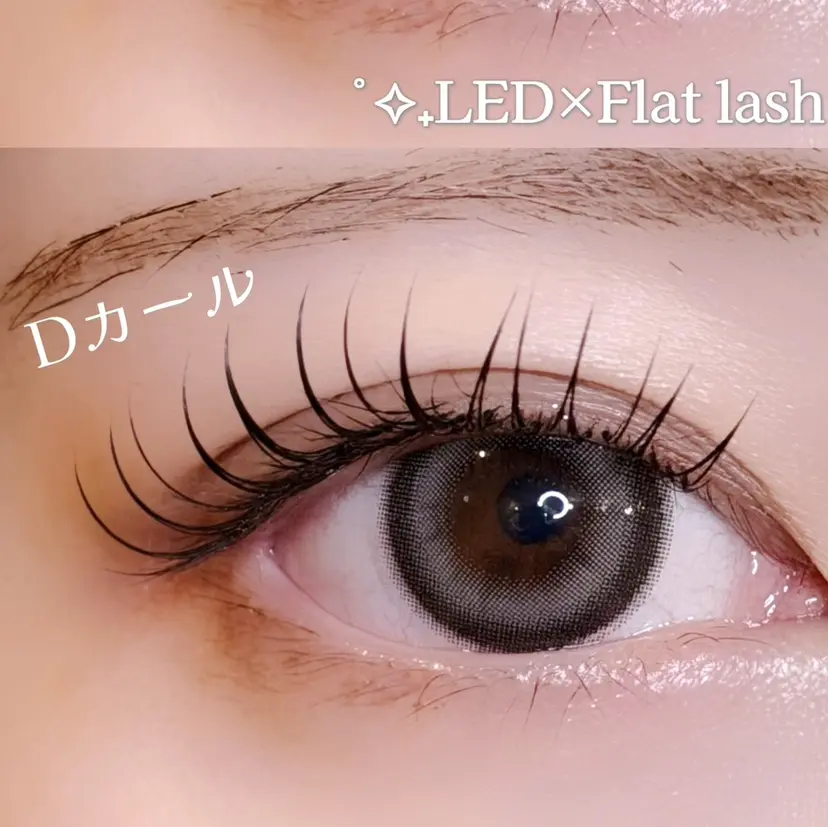 Tulipe 栄　八橋の掲載