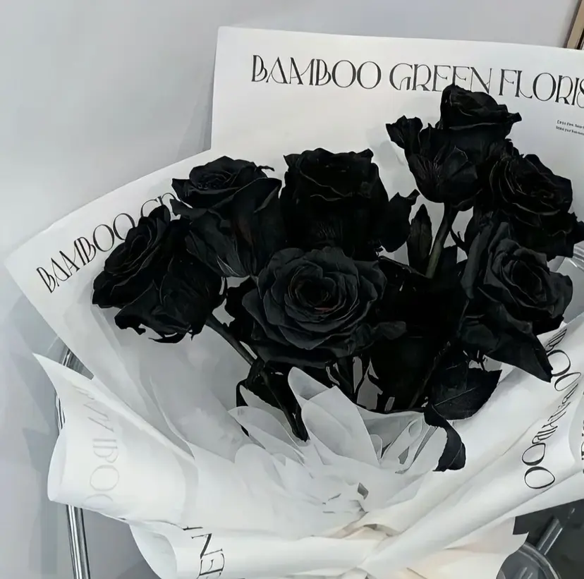 れんれん ❤︎の掲載