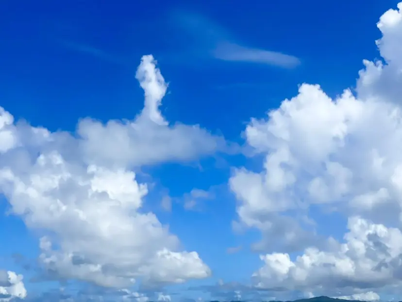 hair×eye 🌻Misaki🌻の掲載