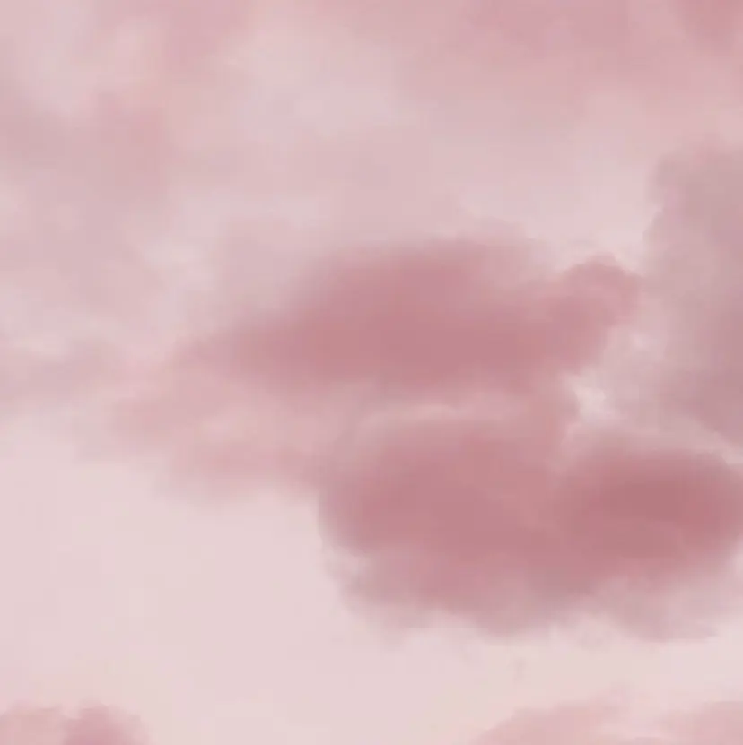 ⠀MINAMI ⠀の掲載