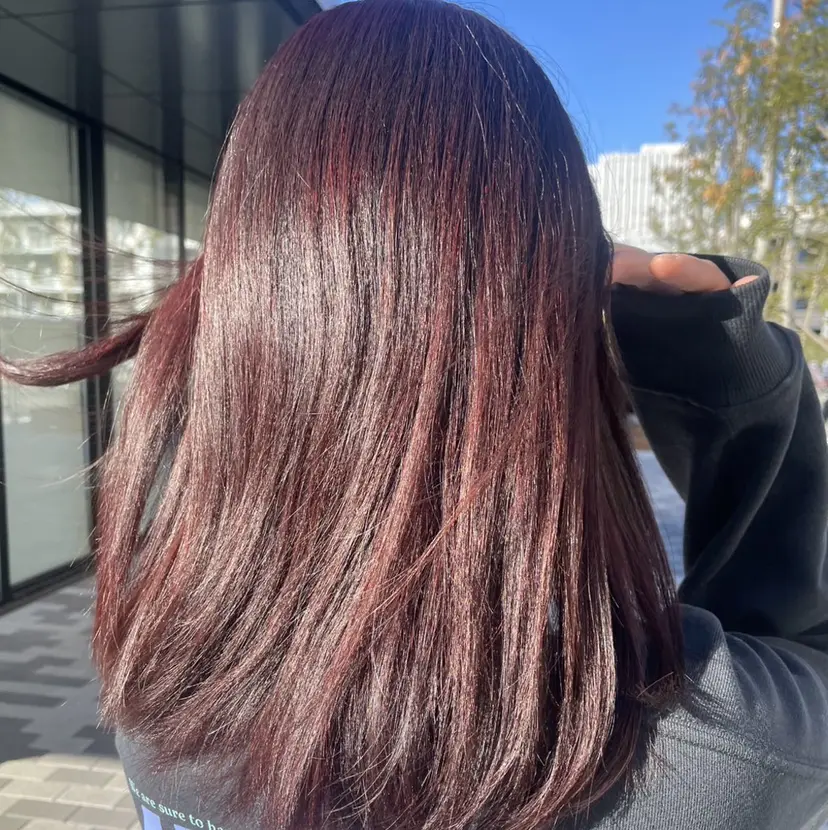 カイ アオネの掲載