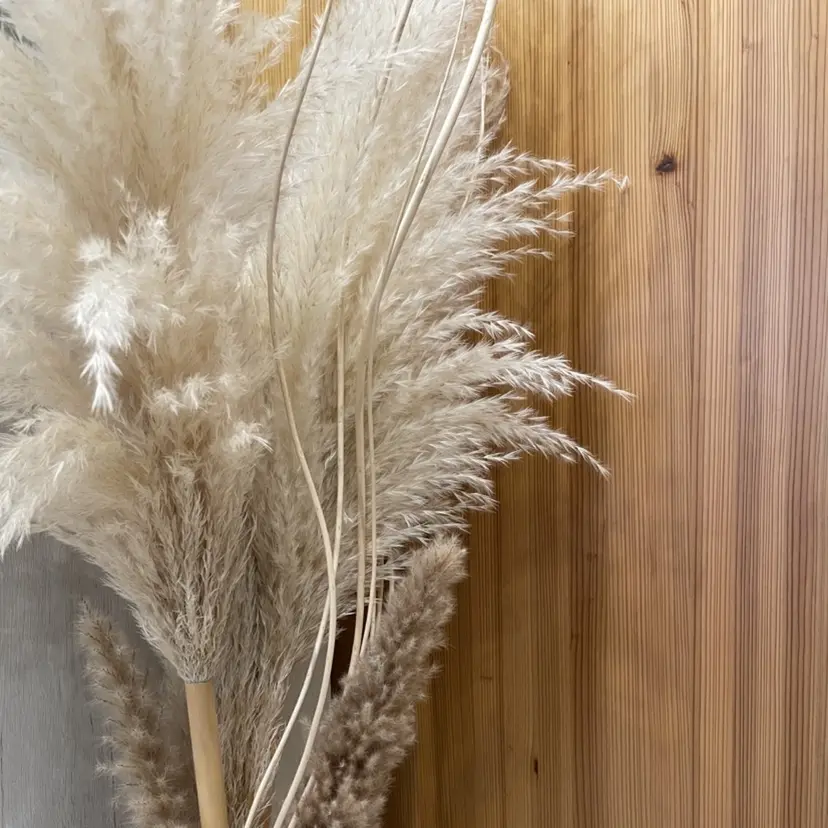 ホワイトニングサロン ラウレアの掲載