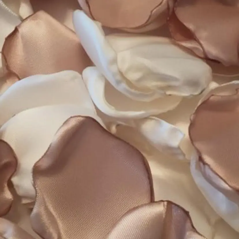 .*・゚Amy .゚・*.の掲載