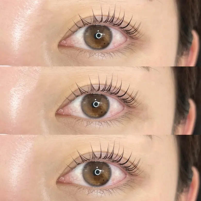 Une fleur AOの掲載