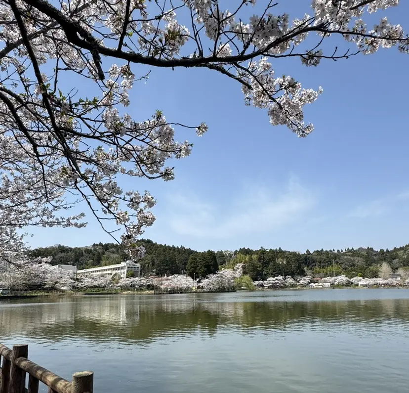 ✨カラー特化髪質改善 稲吉✨の掲載