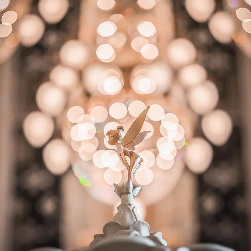 志村 梨帆の掲載