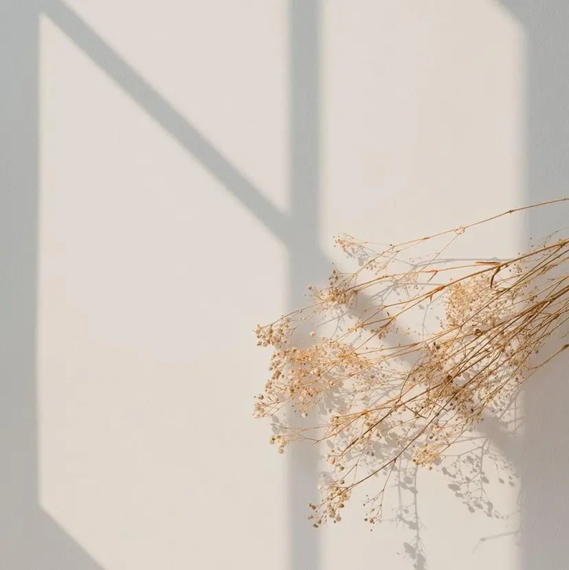 COCO 福地の掲載