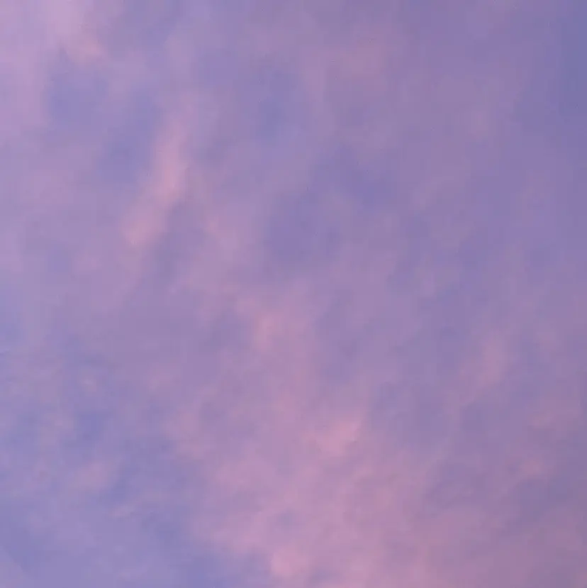 I's浦安 泉澤李里の掲載