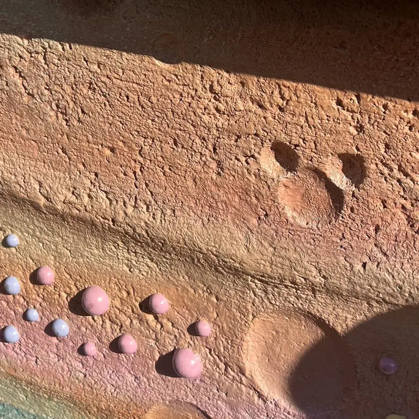 カナ 🎀の掲載