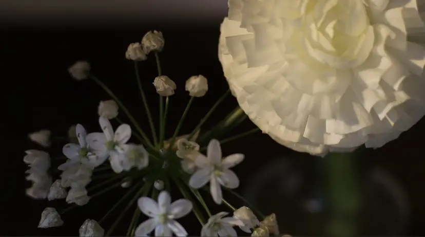 🫧さとう のぞみ🫧の掲載