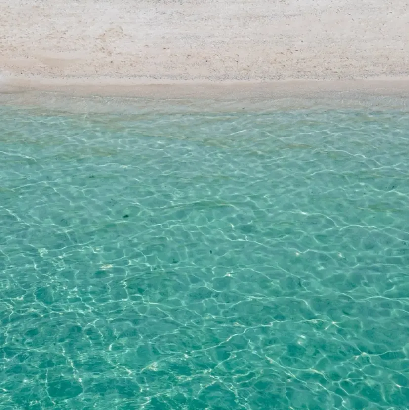 La Ruelle yoko🐈髪質改善の掲載