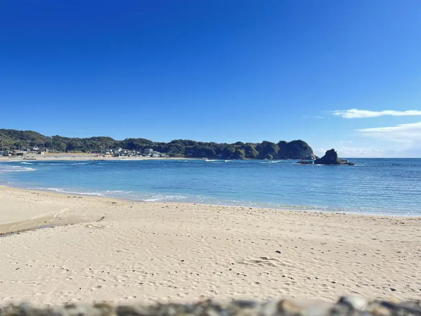 米元 春奈の掲載