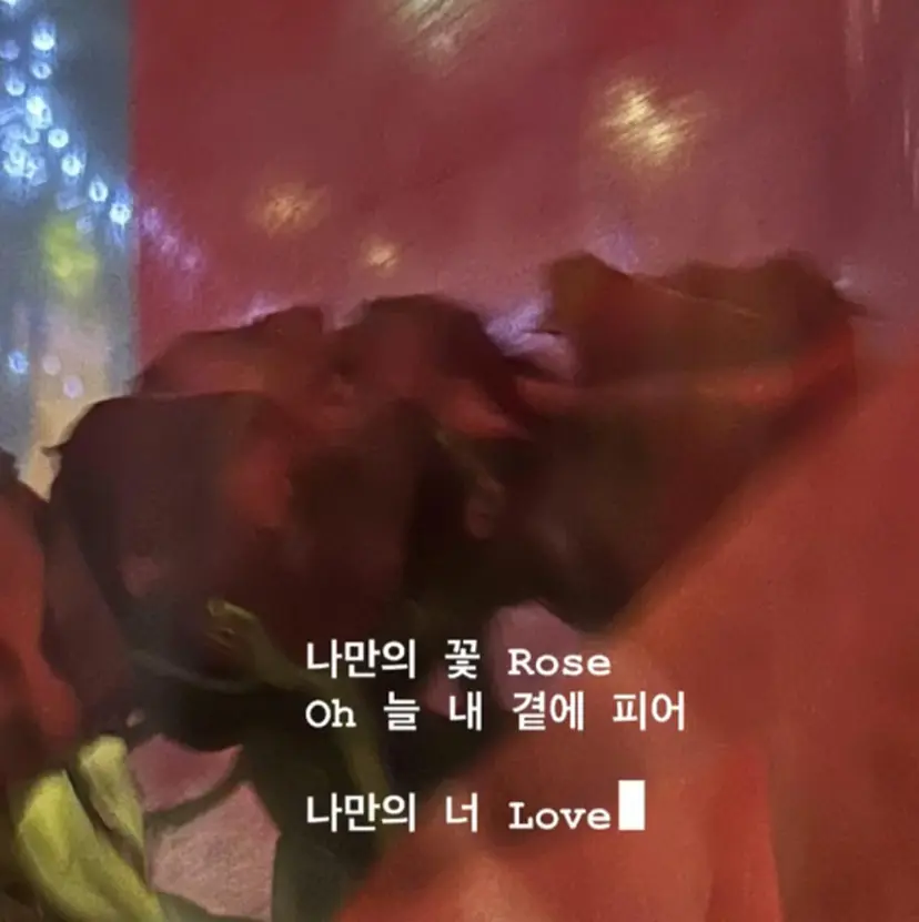 AIRI 🐈‍⬛の掲載