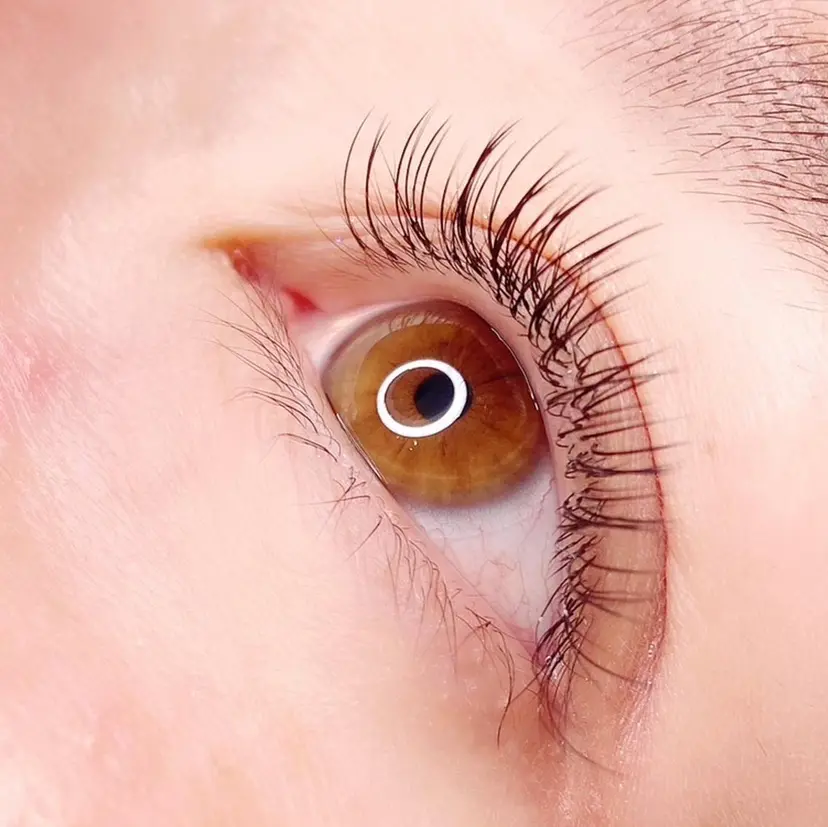 ピニョン ラッシュの掲載