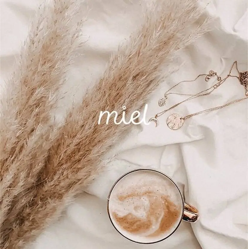 miel仙台 2号店の掲載