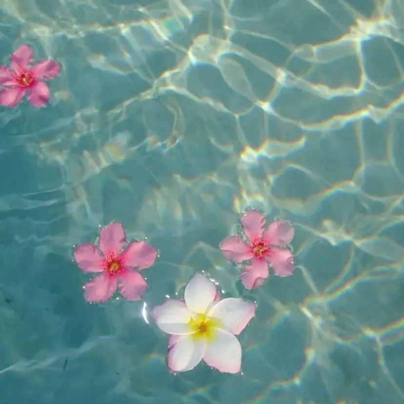 ❤︎haruka ❤︎の掲載