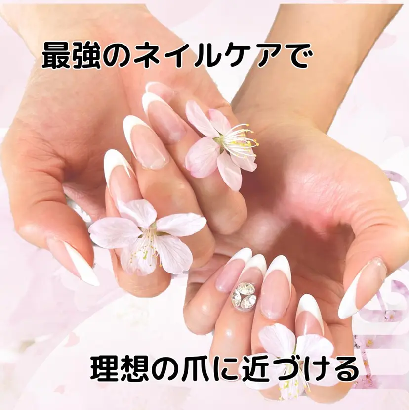 信太 由貴子の掲載