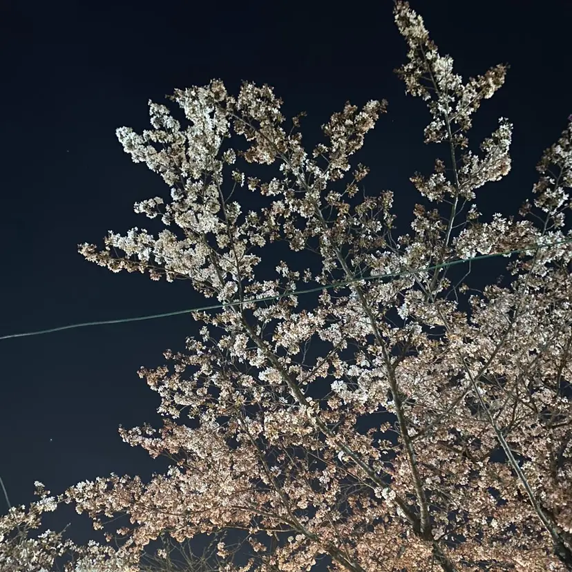 sour  un suzukaの掲載