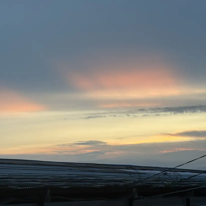 kana eyebrowの掲載